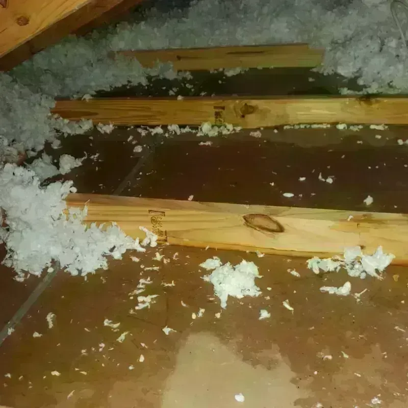 Attic Water Damage in Pecan Plantation, TX